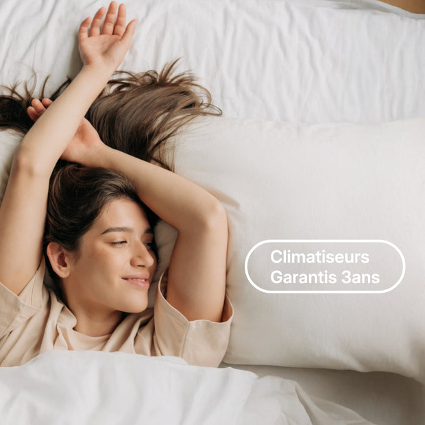 Climatiseur réversible Bisplit (x2) - Pompe à chaleur Air Air (PAC)